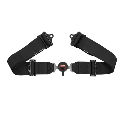 RaceQuip RaceQuip Auto Racing Harness Set Camlock 5 Point Pull-Down Lap SFI 16.1 Black 741001 - Outdoor Depot
