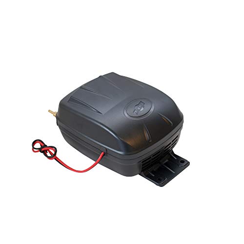 Air Lift Air Lift 16060 Air Compressor silver, 12V - Outdoor Depot
