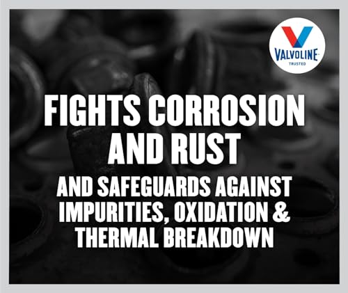 Valvoline Valvoline Daily Protection 75W-90 Gear Oil 1 Quart - Outdoor Depot