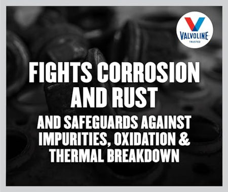 Valvoline Valvoline Daily Protection 75W-90 Gear Oil 1 Quart - Outdoor Depot