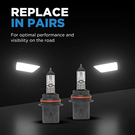 Champion Wagner Lighting 9006 Standard Multi-Purpose Light Bulb Box of 1 - Outdoor Depot