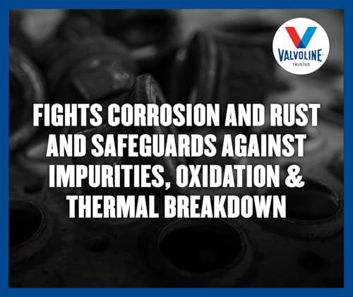 Valvoline Valvoline SynPower SAE 75W-90 Full Synthetic Gear Oil 1 GA - Outdoor Depot