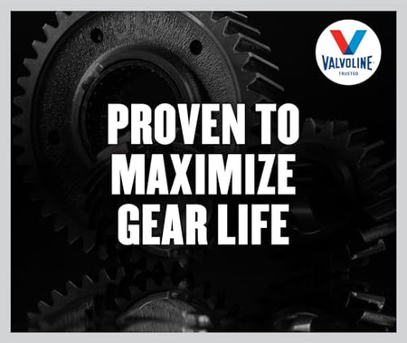 Valvoline Valvoline Daily Protection 85W-140 Gear Oil 1 Quart - Outdoor Depot