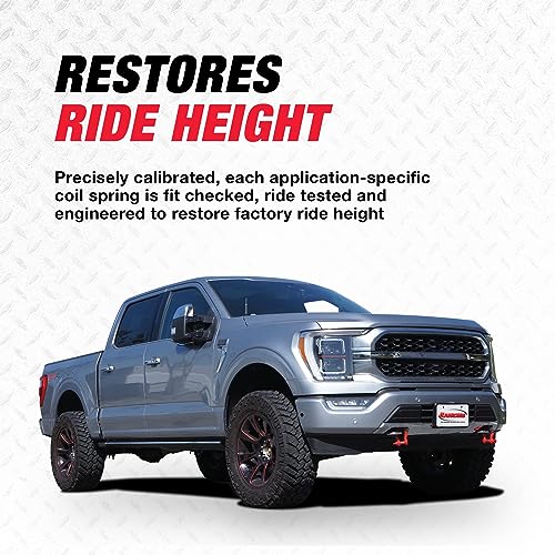 Rancho Rancho RS5000X Loaded RS551845 Suspension Strut and Coil Spring Assembly - Outdoor Depot