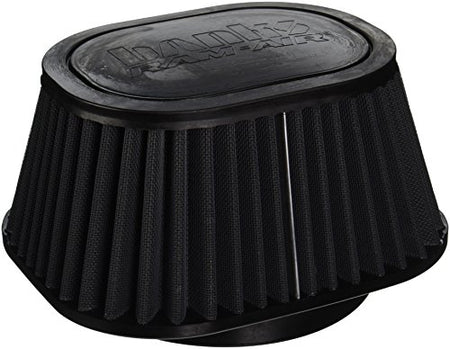 BANKS 42138-D 42138D DRY AIR FILTER product image